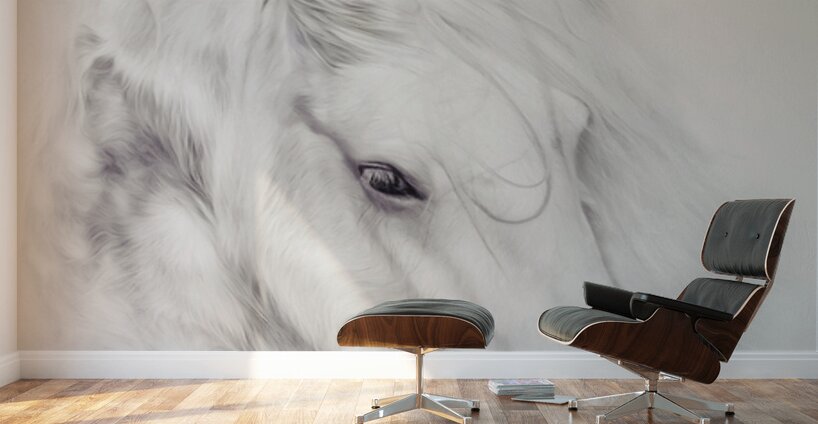 Fairytale Dreams Wall Murals