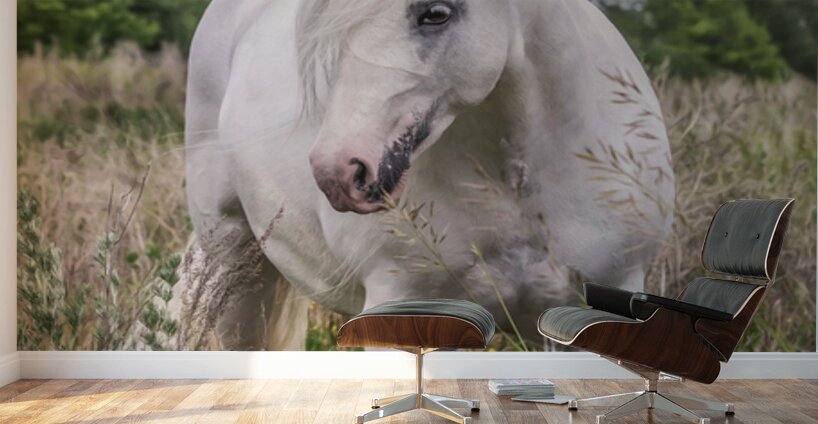 Wild Flower Wall Murals