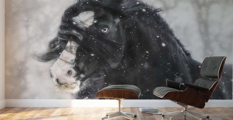 Snowstorm Wall Murals