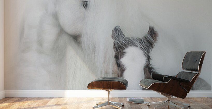 A Mother s Love IIII Wall Murals