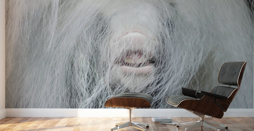 Having Fun Wall Murals