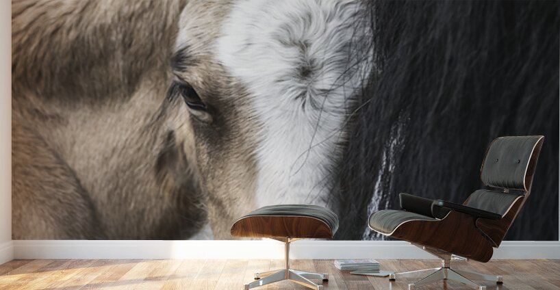 I See You Wall Murals