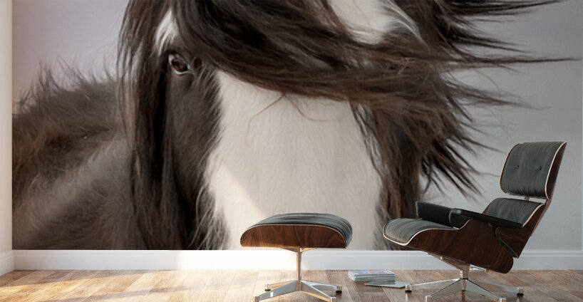 Unveiled Wall Murals