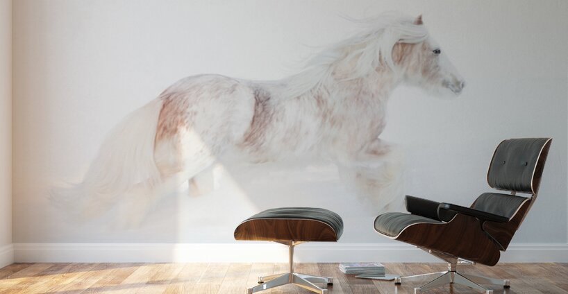 Ivory Passage Wall Murals