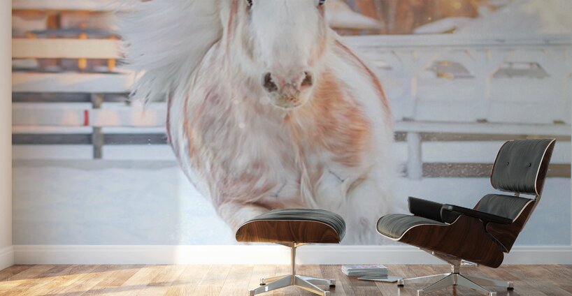 Throught the Silence Wall Murals