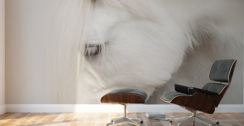 QuietGrace Wall Murals