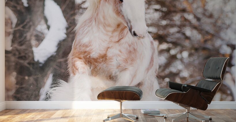 WinterLight Wall Murals