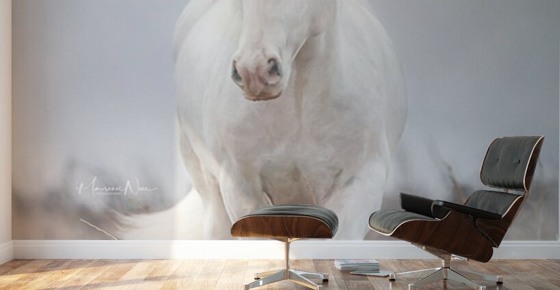 Dreamwalker Wall Murals