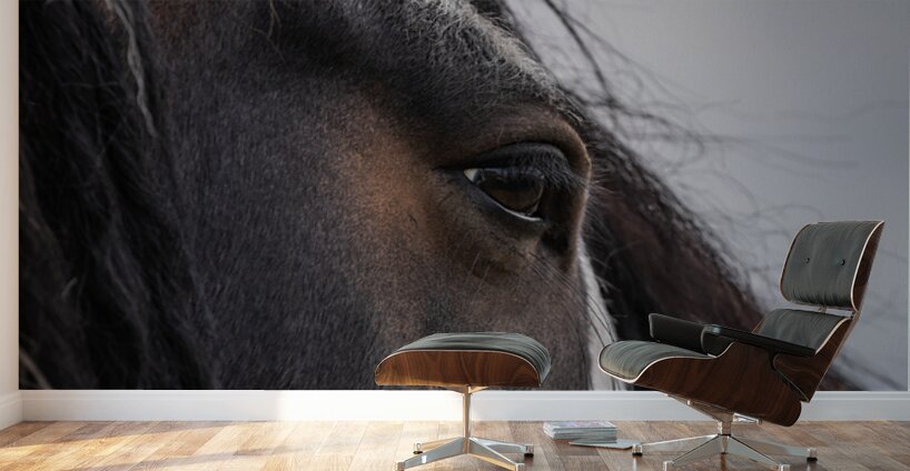 Unspoken Wall Murals