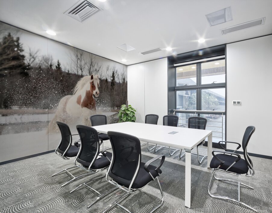 Snow Dancer Wall Printing