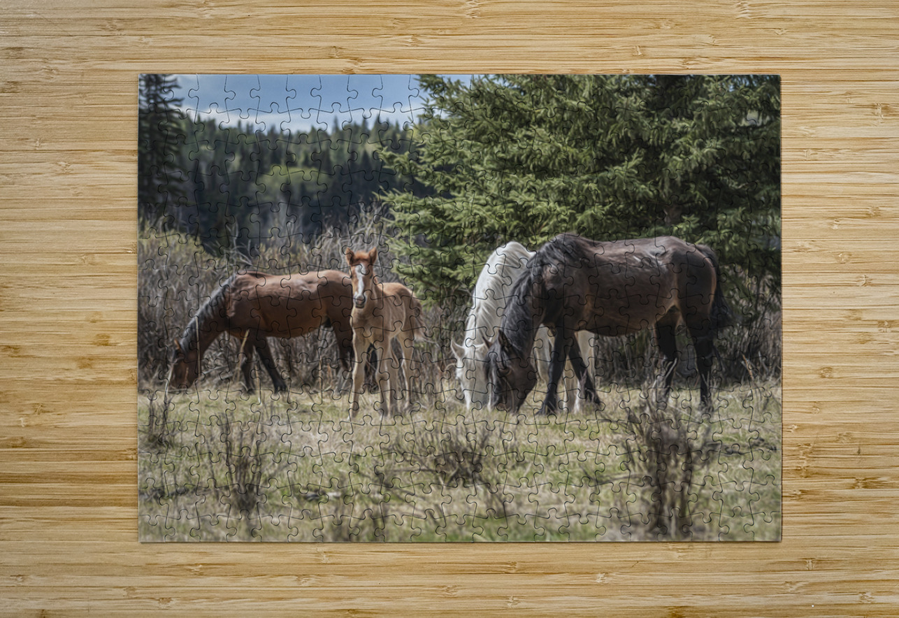 A Piece of Something Bigger Maureen Noce Photography Puzzle printing