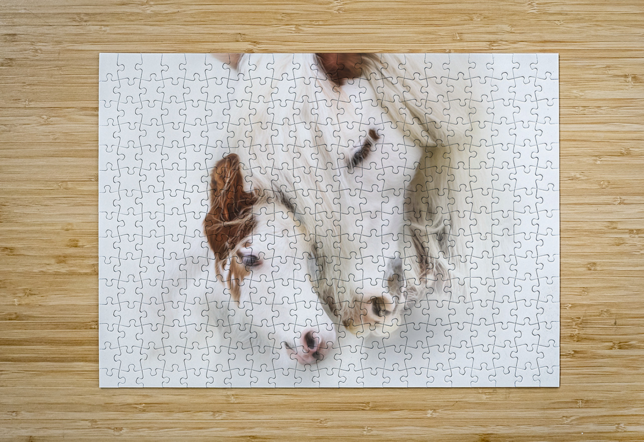 A Mother s Love Maureen Noce Photography Puzzle printing