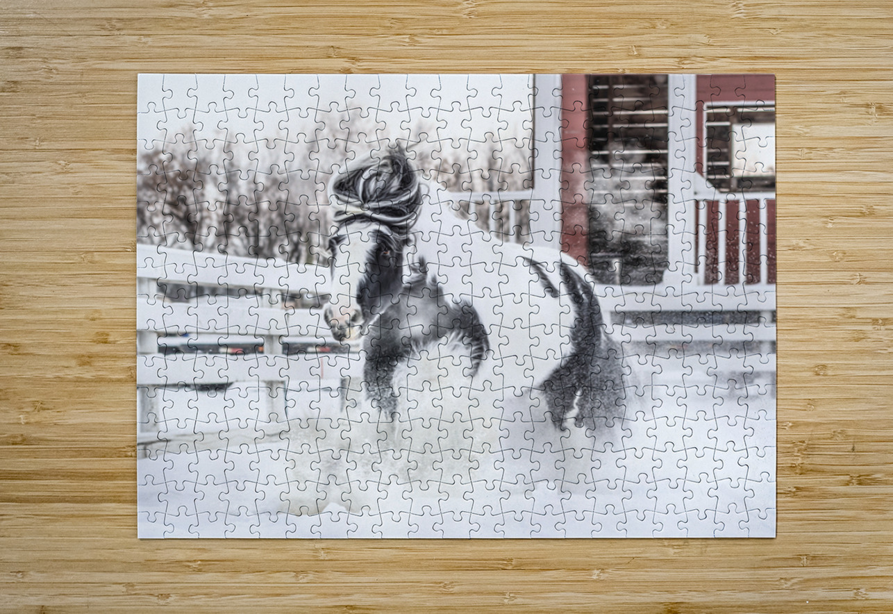 Breathe of Winter Maureen Noce Photography Puzzle printing