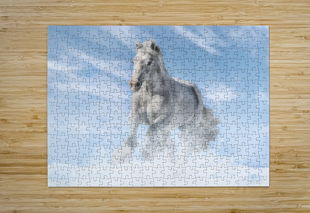 Joy in the Sky Maureen Noce Photography Puzzle printing