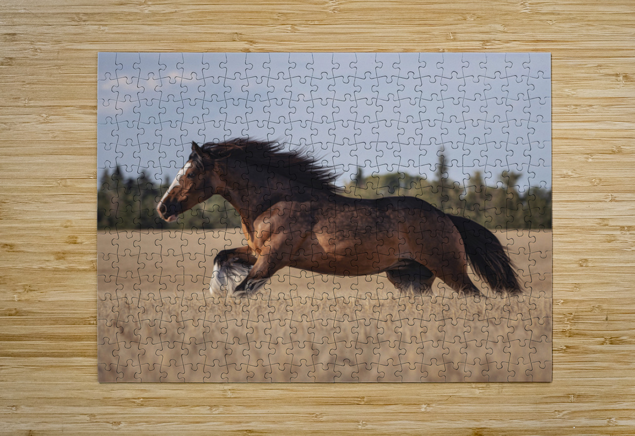 Free Spirit Maureen Noce Photography Puzzle printing