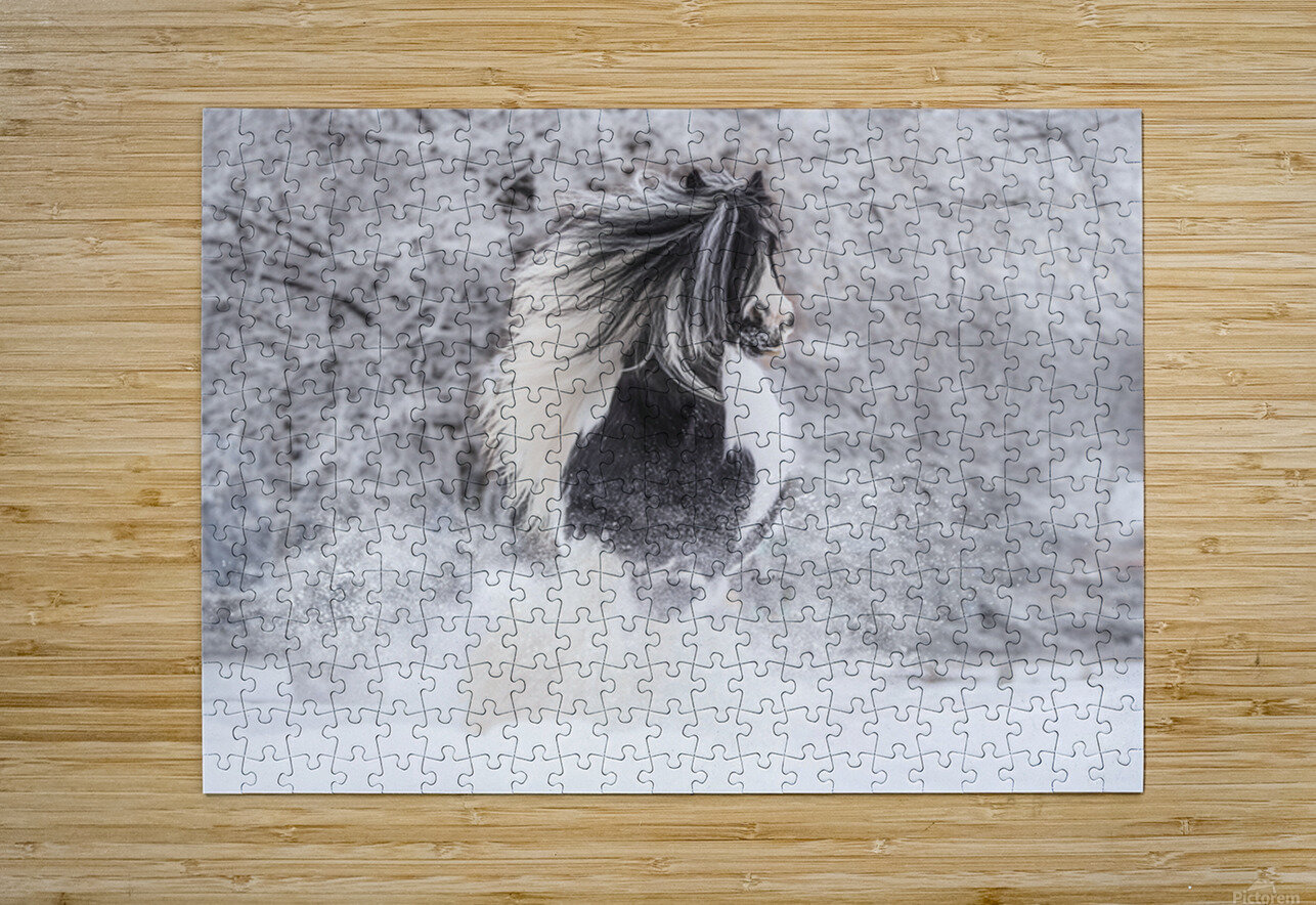 First Snow Maureen Noce Photography Puzzle printing