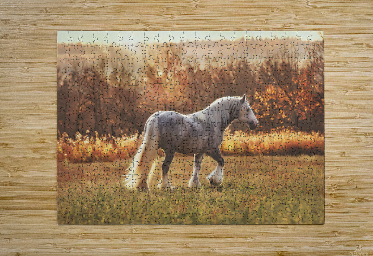 Field of Dreams Maureen Noce Photography Puzzle printing
