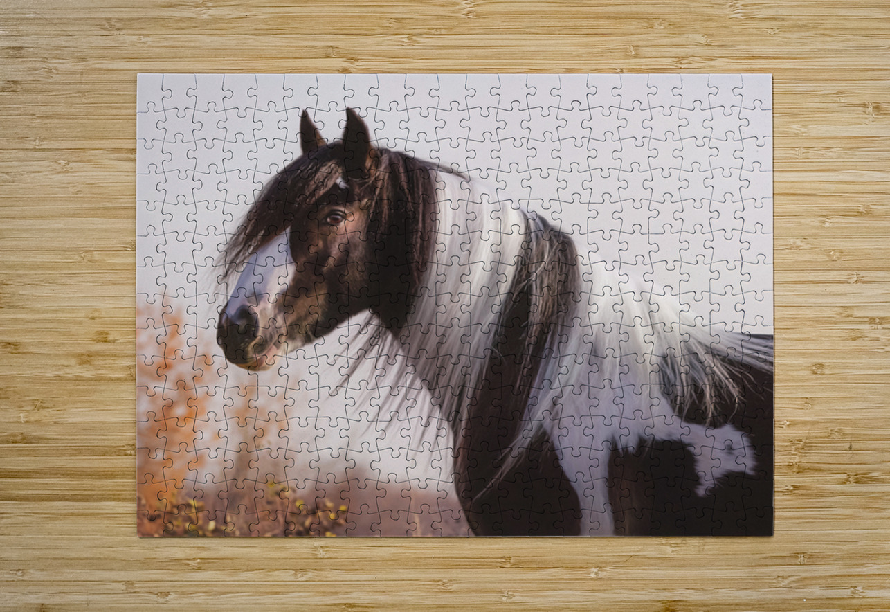 Silent Gaze Maureen Noce Photography Puzzle printing