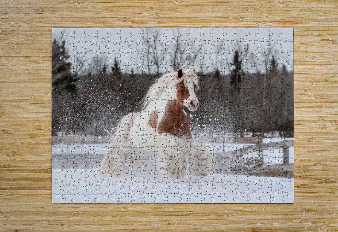 Snow Dancer Maureen Noce Photography Puzzle printing