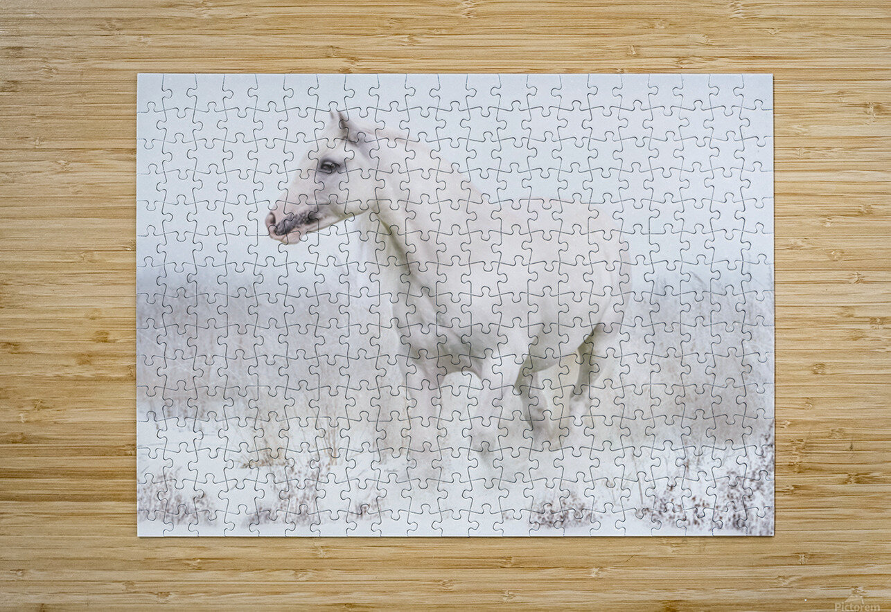 Winters Whisper Maureen Noce Photography Puzzle printing