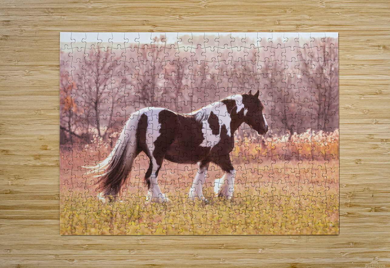 Sunlit Treasures Maureen Noce Photography Puzzle printing