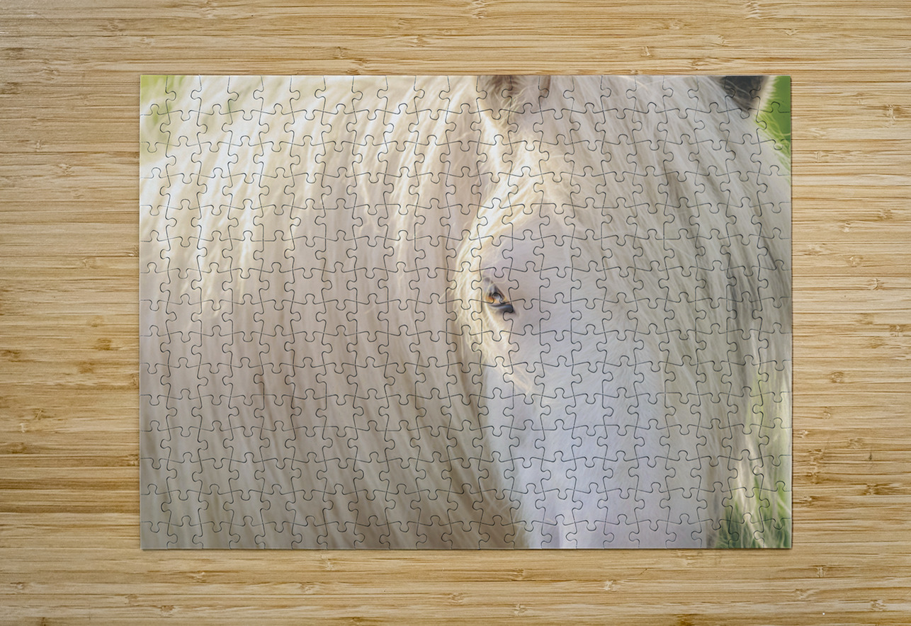 A Moment In Time Maureen Noce Photography Puzzle printing