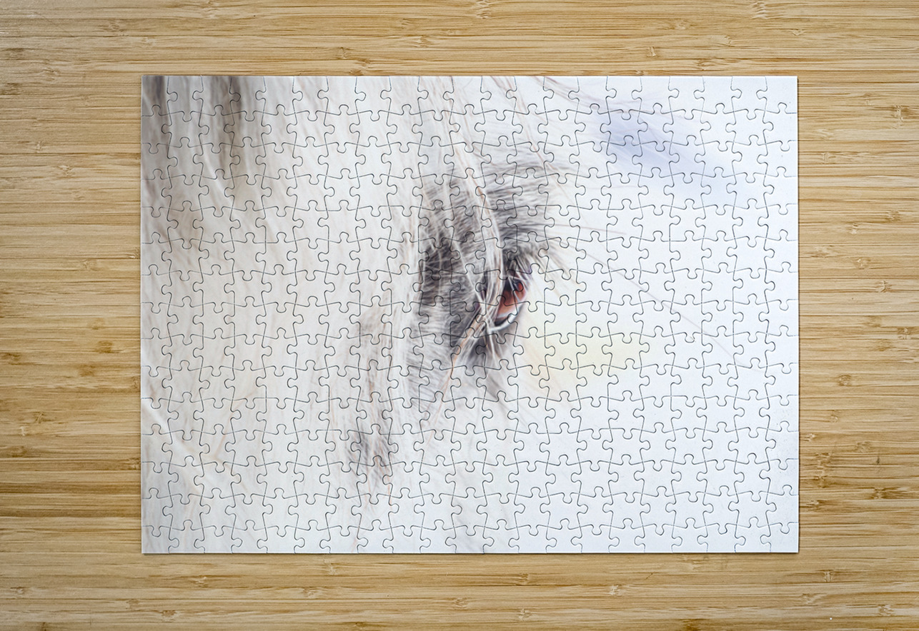 A Quiet Gaze Maureen Noce Photography Puzzle printing