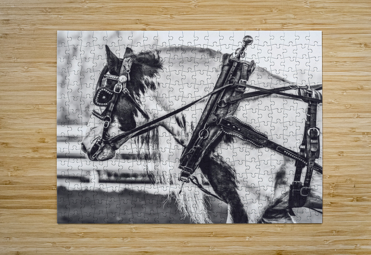 Determination Maureen Noce Photography Puzzle printing