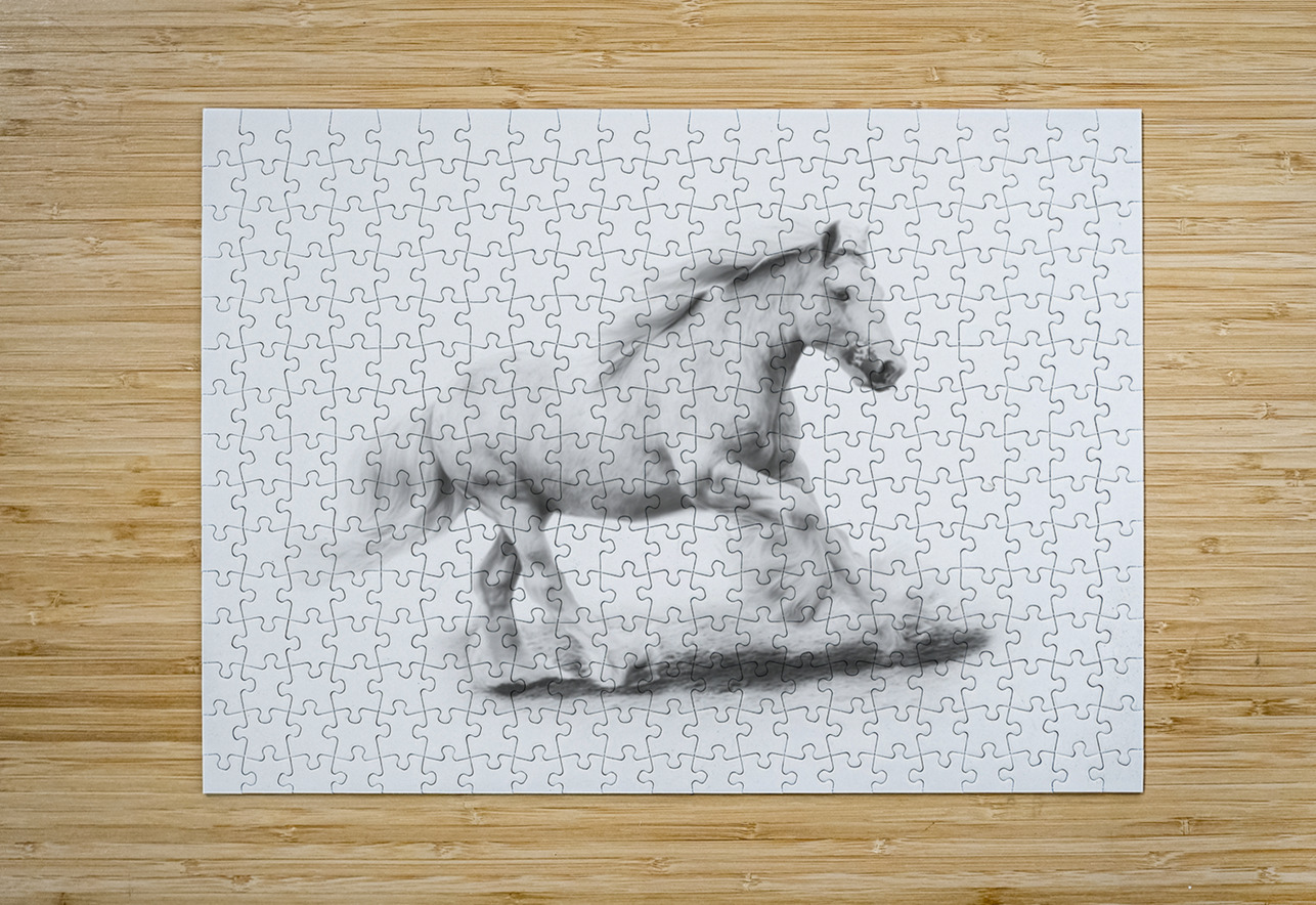 Unbridled Joy Maureen Noce Photography Puzzle printing