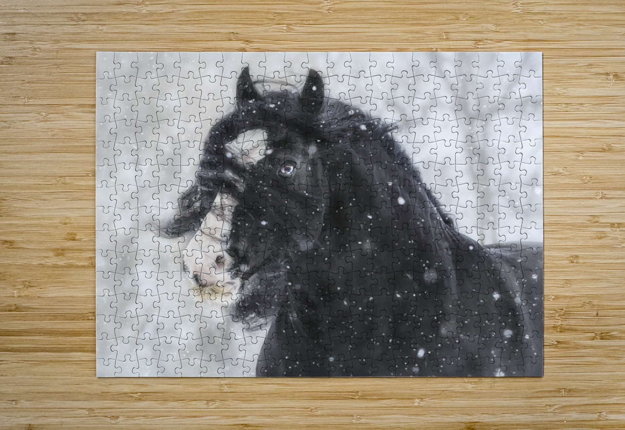 Snowstorm Maureen Noce Photography Puzzle printing