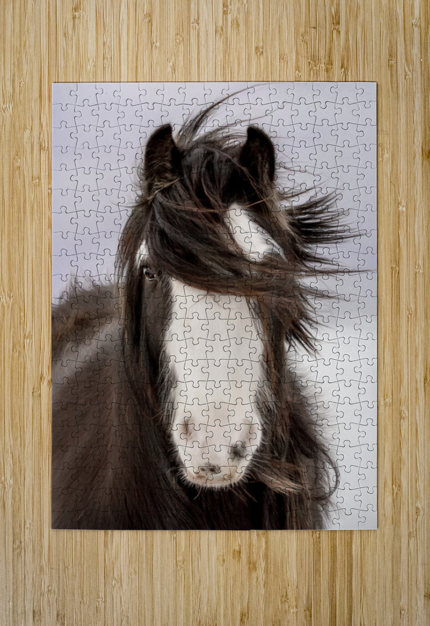 Unveiled Maureen Noce Photography Puzzle printing