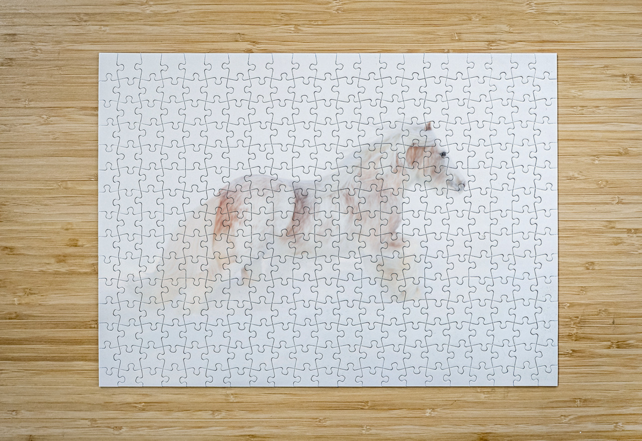 Ivory Passage Maureen Noce Photography Puzzle printing