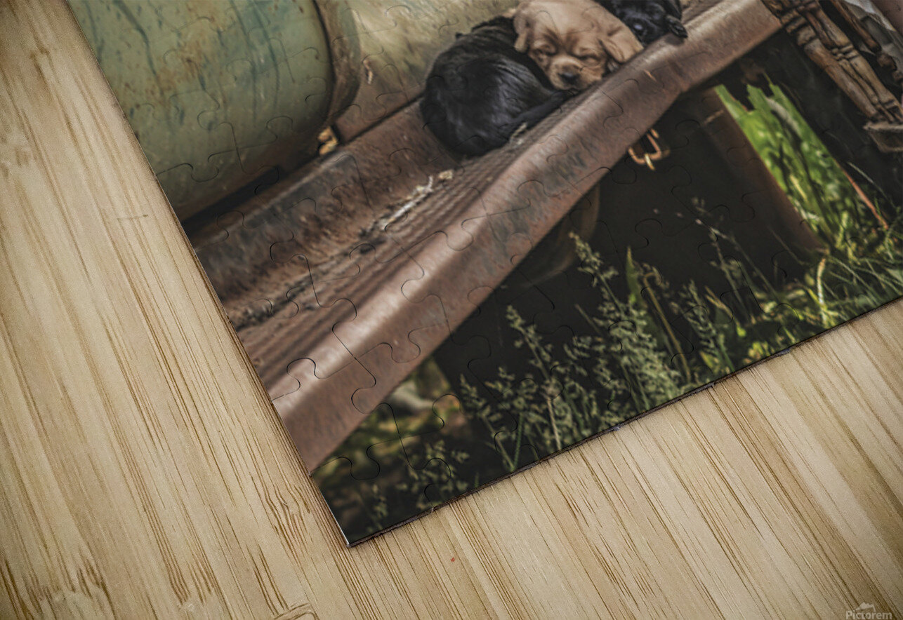 A Childs Touch Maureen Noce Photography Puzzle