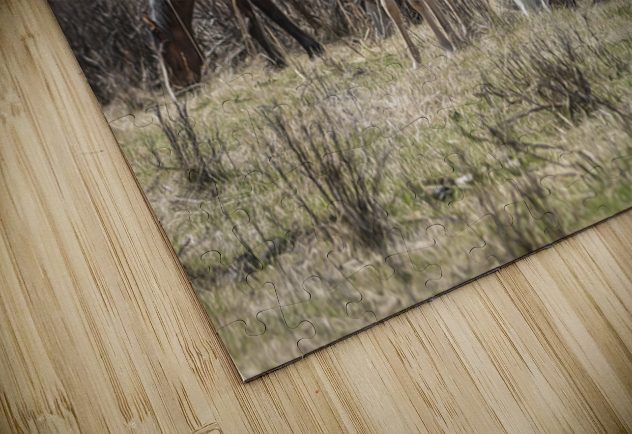 A Piece of Something Bigger Maureen Noce Photography Puzzle