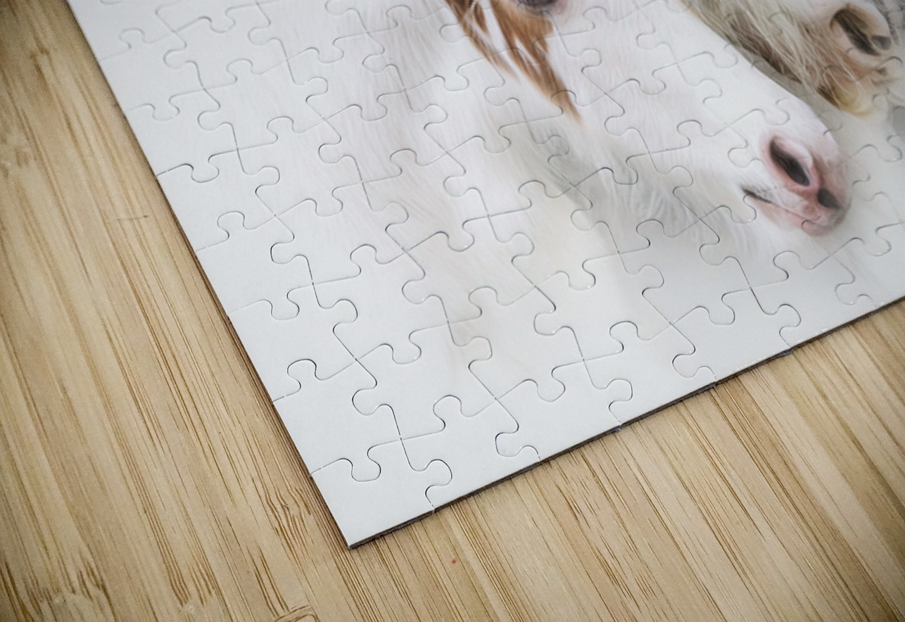 A Mother s Love Maureen Noce Photography Puzzle