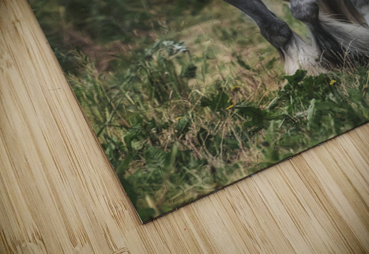 Dont stop Maureen Noce Photography Puzzle