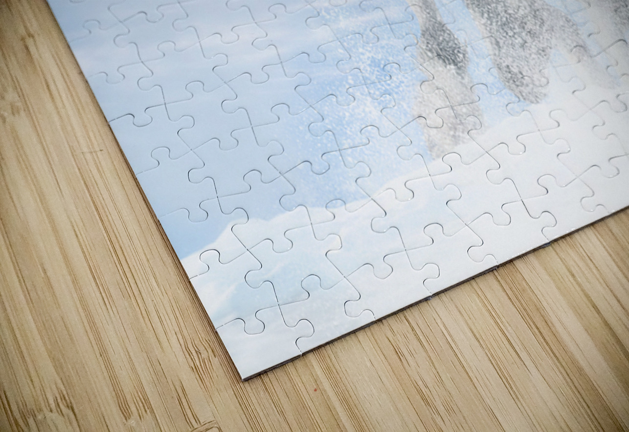 Joy in the Sky Maureen Noce Photography Puzzle