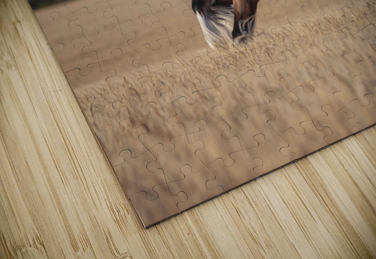 Free Spirit Maureen Noce Photography Puzzle