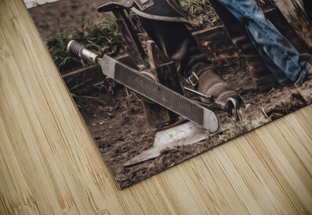 The Apprentice Maureen Noce Photography Puzzle