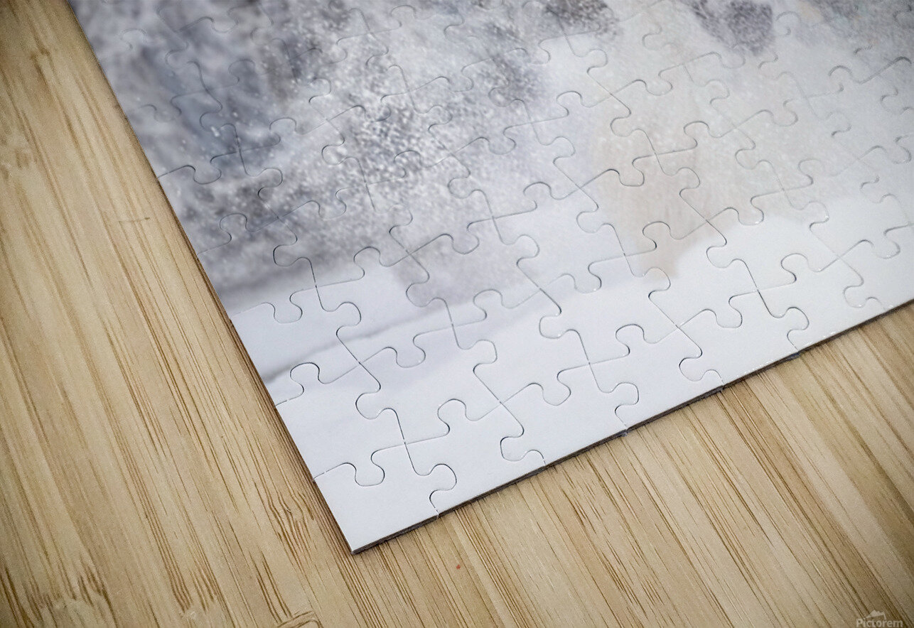 First Snow Maureen Noce Photography Puzzle