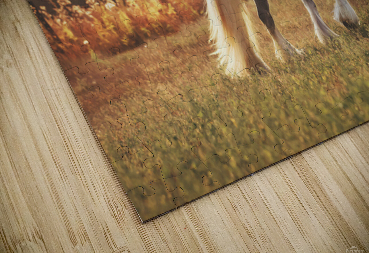 Field of Dreams Maureen Noce Photography Puzzle