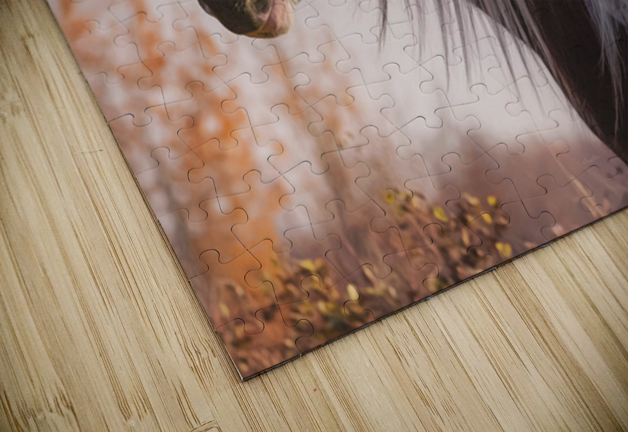 Silent Gaze Maureen Noce Photography Puzzle