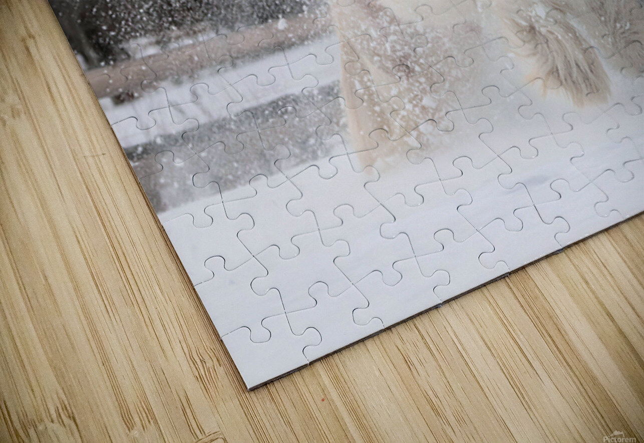 Snow Dancer Maureen Noce Photography Puzzle