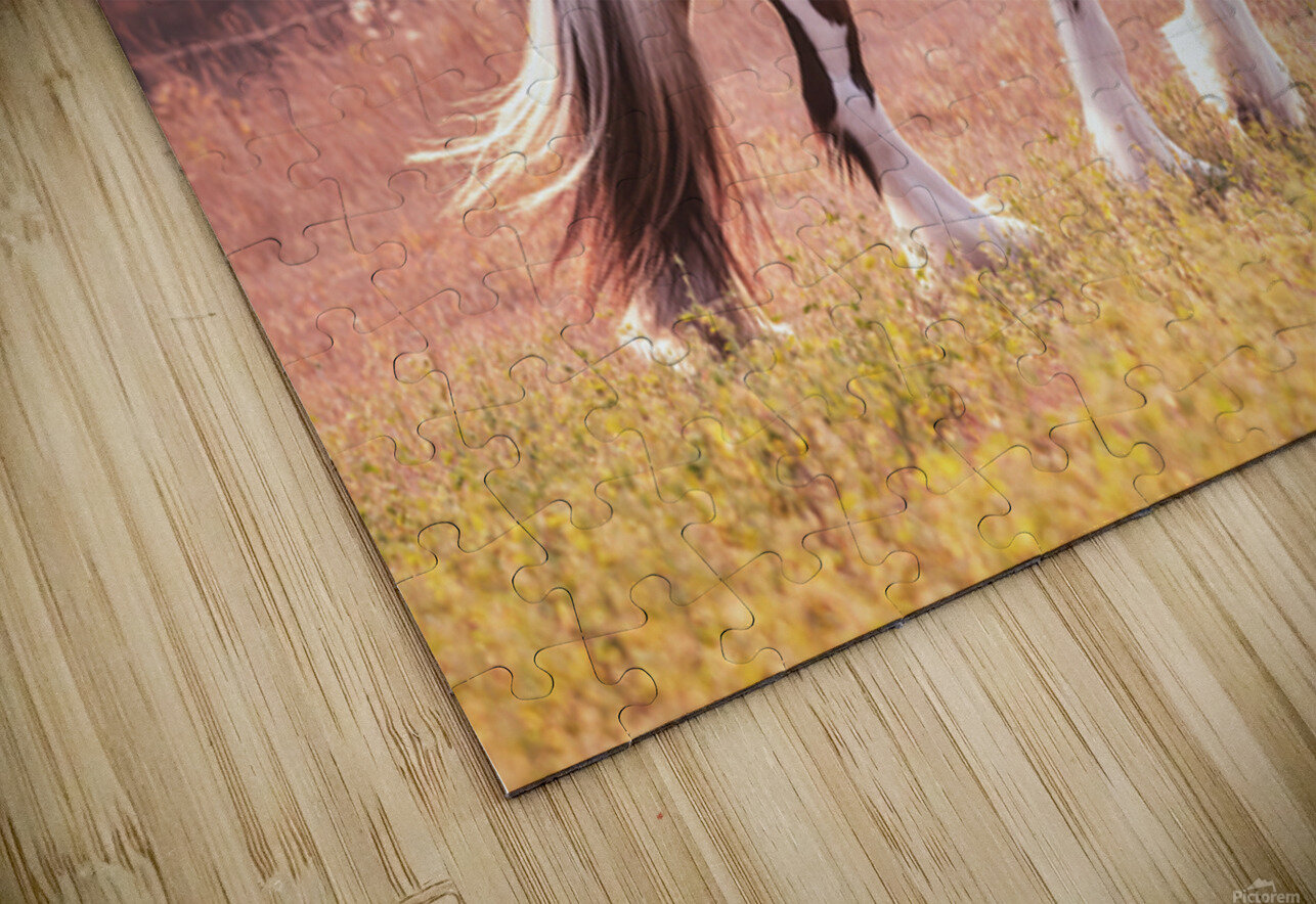 Sunlit Treasures Maureen Noce Photography Puzzle