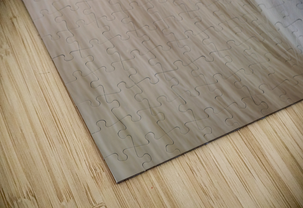 A Moment In Time Maureen Noce Photography Puzzle