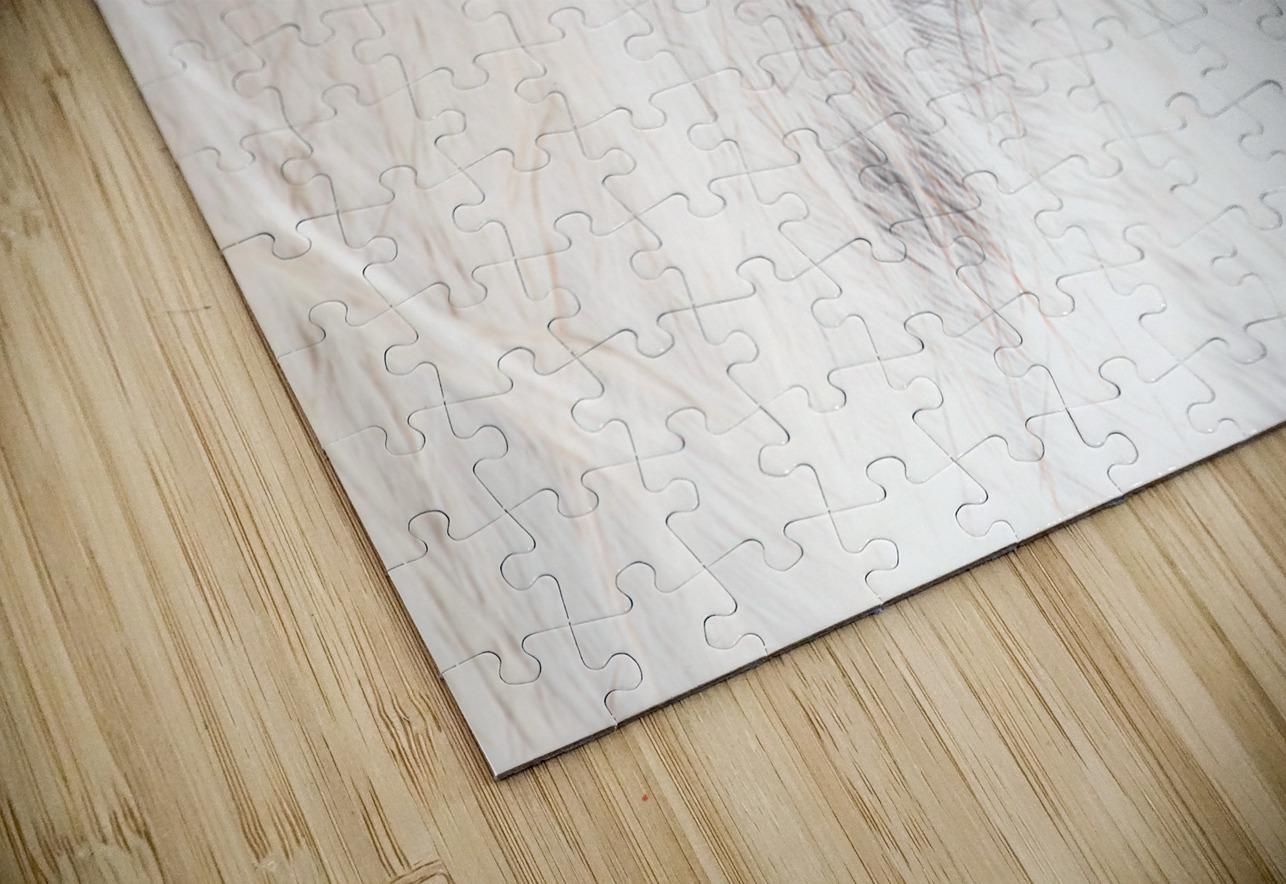 A Quiet Gaze Maureen Noce Photography Puzzle