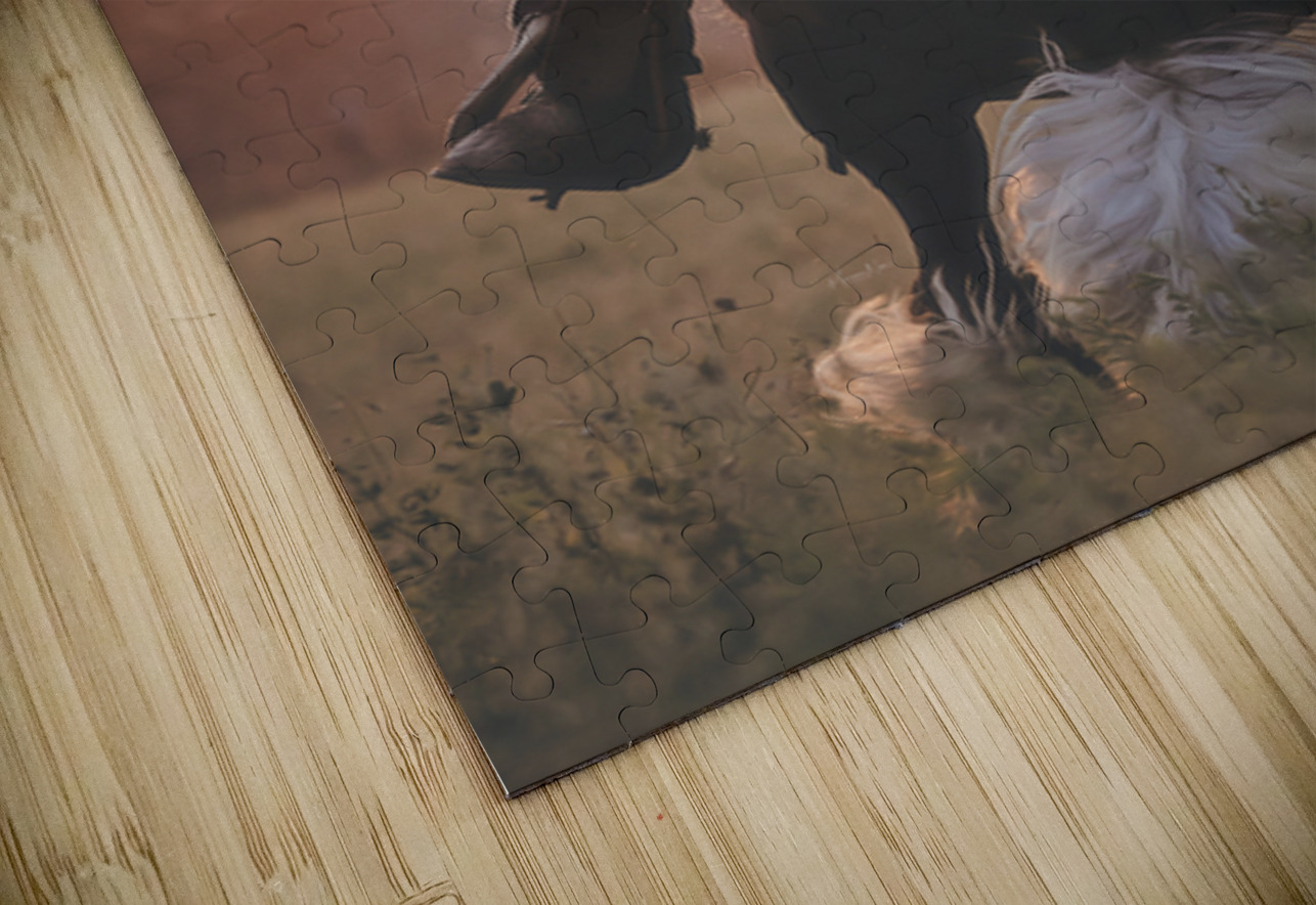 Beauty In Motion Maureen Noce Photography Puzzle