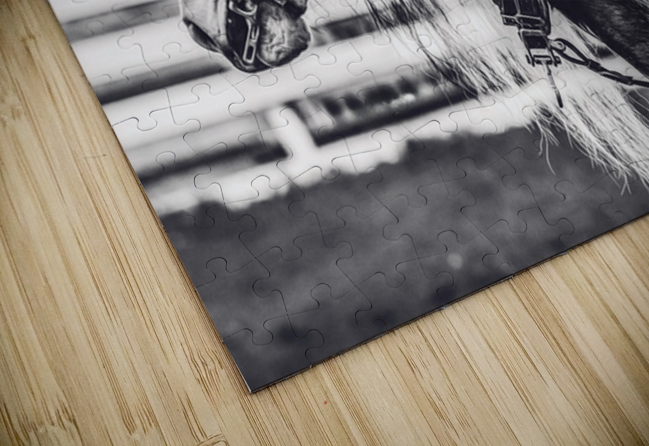 Determination Maureen Noce Photography Puzzle