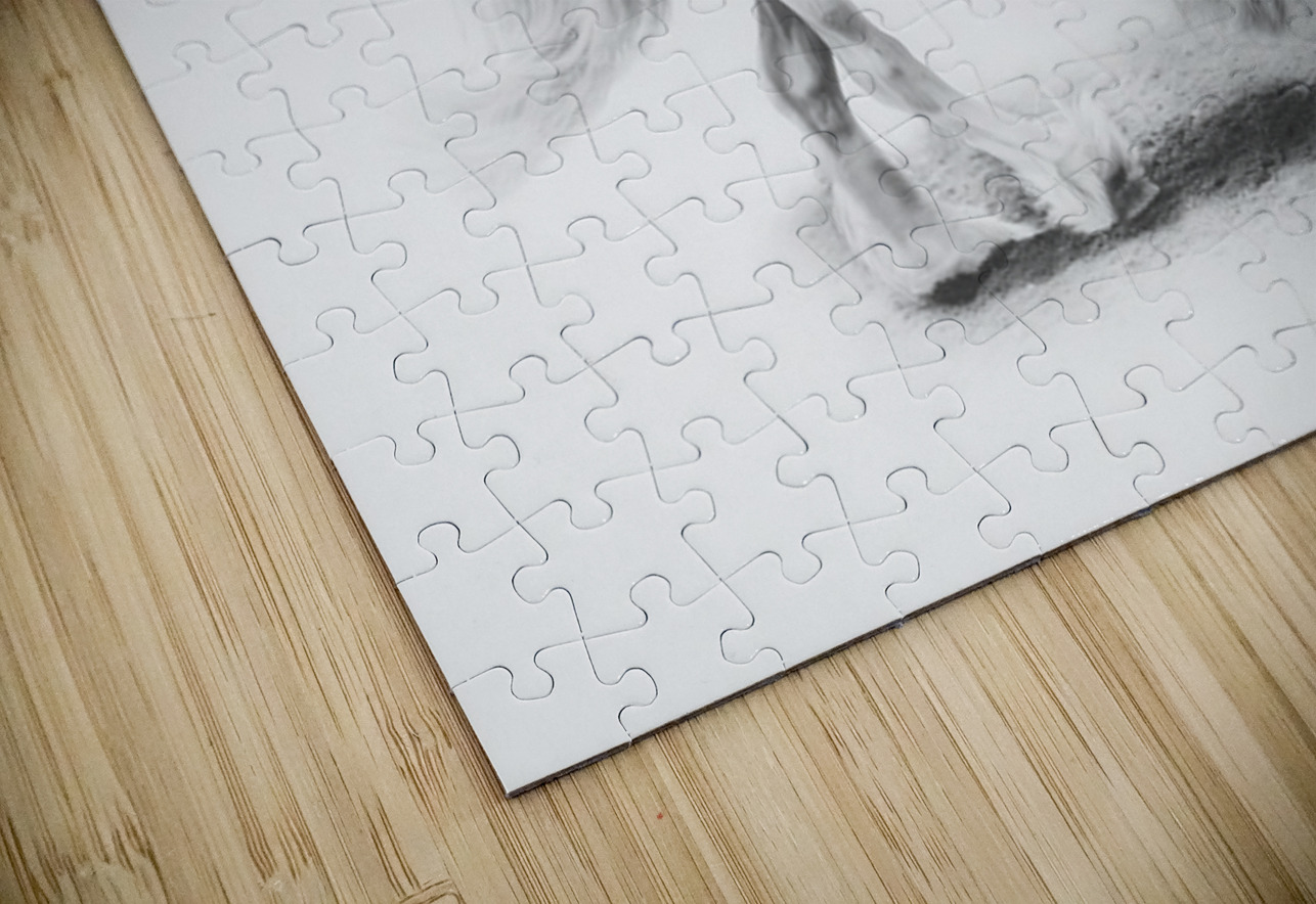 Unbridled Joy Maureen Noce Photography Puzzle