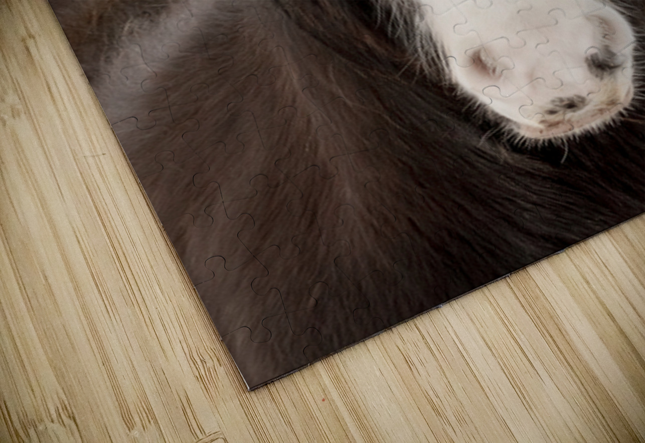 Unveiled Maureen Noce Photography Puzzle